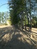 Sprzedam piękną atrakcyjną działkę 1500m2 super lokalizacja - 2