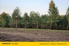 Działki budowlane w Teodorowie! - 6