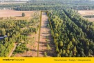 Działki budowlane w Teodorowie! - 10