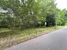 Działka leśna / las Rożno-Parcele, gm. Aleksandrów Kujawski - 14