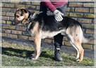 Maruś - pozwól mu na nowo cieszyć się życiem! - 7