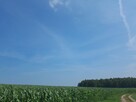 Działka budowlana na sprzedaż bez pośredników 800m - 16