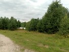 Działka budowlana Nowa Wieś Przywidzka gm. Przywidz - 3