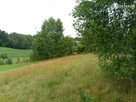 Działka budowlana Nowa Wieś Przywidzka gm. Przywidz - 4