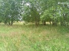 Działka budowlana Nowa Wieś Przywidzka gm. Przywidz - 6