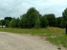 Działka budowlana Nowa Wieś Przywidzka gm. Przywidz - 8