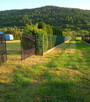 Domek letni, widok, duża działka, las - 4