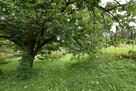 Działka z domem Krzemienica - 6