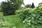Działka z domem Krzemienica - 7