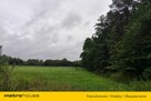 Własny las i polana - wiele możliwości! 56,5 ar - 8