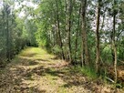 Atrakcyjna działka 33,337 m2 - 2