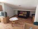Działka ROD Poznań Krzesiny - 15