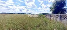Działka, stodoła, dom Domosław, gmina Winnica. - 5