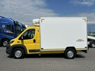 Peugeot Boxer Mroźnia Podwójne Zasilanie Unikat STAN nie Fiat Citroen Iveco 2016r - 5