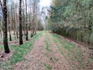 Atrakcyjna działka 33,337 m2 - 3