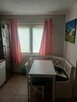 Działka ROD Poznań Krzesiny - 12