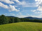 Kupię prywatnie gospodarstwo / dom z zabudowaniami min. 1 ha - 4