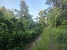 Działka budowlana Dziechciniec gm. Wiązowna - 6