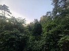 Działka budowlana Dziechciniec gm. Wiązowna - 8