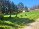Tarnawa, Łapanów 16a , zadbana działka budowlana - 4