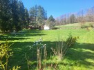 Tarnawa, Łapanów 16a , zadbana działka budowlana - 7