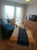 Do wynajęcia 2 pokojowe /Oddzielna kuchnia 44m2 /Po remoncie - 2