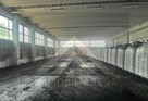 Hala magazynowo-produkcyjna 4 799 m² – Ruda Śląska – inwesty - 14