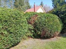USŁUGI OGRODNICZE - 4