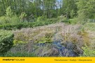 Na sprzedaż urokliwy dom ze stawem, działka 4600m2 - 16