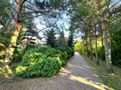 Dom Kuznocin gm. Sochaczew, - 3