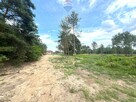Działka budowlana 1000 m² przy lesie, Wincentówek - 7