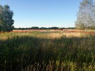 sprzedam działkę rekreacyjno-rolną - 3
