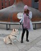Behawiorysta psi trener Szczecin - 2