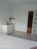 Apartament dwupokojowy do wynajęcia - 7