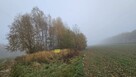 Działka 1500 m2 - 1
