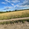 Działka na Mazurach Napiwoda Nidzica - 10
