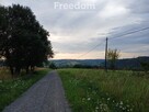 1,8 ha pod rekreację, siedlisko lub fotowoltaikę - 6