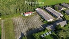 Działka z halami, 8330 m², Olszewo k. Mikołajek - 3