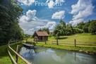 Obiekt Agroturystyczny w Bieszczadach - 10