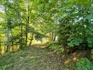 Działka budowlana Szczekarków - 2
