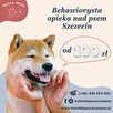 Behawiorysta psi trener Szczecin - 7