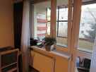 Wynajmę kawalerkę - 5