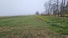 Działki 200 m2 oraz 3500 m2 - 1