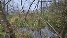 Działki 200 m2 oraz 3500 m2 - 2