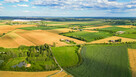 Działka budowlana, 1,27 ha, 45 km / 30min. Warszawa, CPK - 5