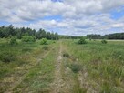 Działka budowlana Stare Wrońska gm. Załuski, - 10