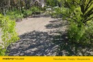 Zadzwoń i zobacz z bliska tą piękną działkę. - 5
