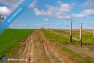 Działka o powierzchni 1188 m2 pod Szczeciniem - 3