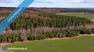 Działka o powierzchni 1188 m2 pod Szczeciniem - 6