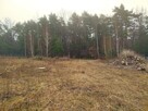 Działki w leśnym zakątku - uzbrojone - 11